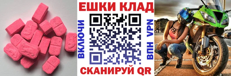 Ecstasy Philipp Plein  Купить закладки  Карачаевск 