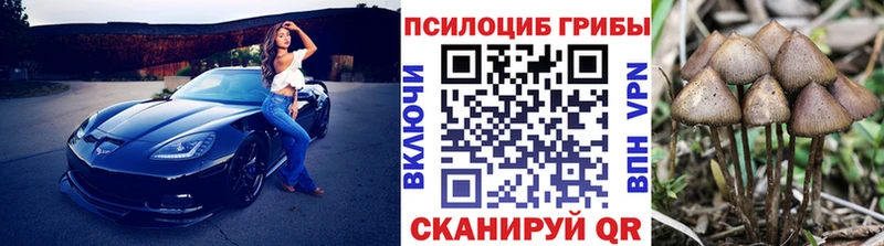 Купить где  Карачаевск  Псилоцибиновые грибы GOLDEN TEACHER 